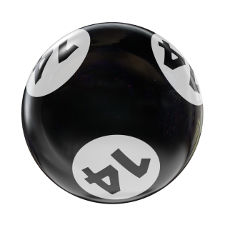 HAPPY BOWLING BINGO HOUSEBALL BLACK/WHITE 14 LBS