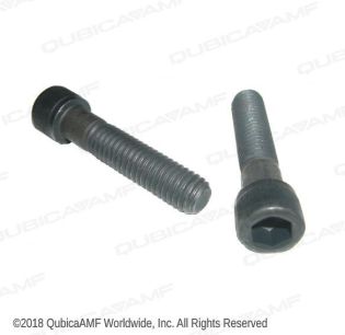 810265280BG 3/8-16 X1 3/4 SCR SOC BAG/10