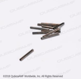 913411120BG .078 X3/4 PIN SPRING BAG/10